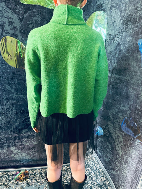 Rollkragen Pullover "Nolabel"